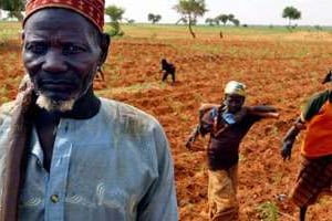 La sécheresse sévit une année sur trois et menace les Nigériens de famine. © Finbarr O’Reilly/Reuters