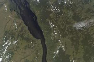 Image satellite de la forêt du Bassin du Congo. © D.R.
