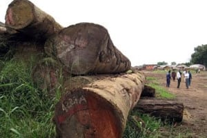 Kinshasa dit vouloir moins d’opacité dans la gestion des ressources naturelles. © AFP