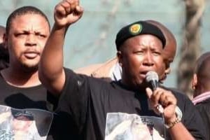 Leader de la ligue de jeunesse de l’ANC, Julius Malema s’adresse à la foule le 30 août 2011. © AFP