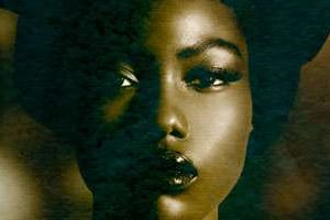 La couverture de « La France noire ». © D.R