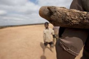 Le Mali exporte chaque année près de 4 tonnes d’or artisanal. © Alexander Joe/AFP