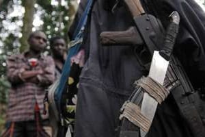 Les armes d’un rebelle hutu rwandais des FDLR . © Lionel Healing/AFP