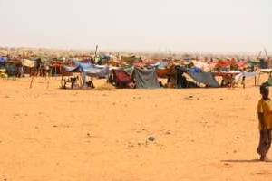 Un camp de réfugiés maliens à Chinegoda, au Niger, le 4 février 2012. © Boureima Hama/AFP