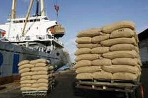 Enlèvement de sacs de cacao au port de San Pedro, à Abidjan. © AFP