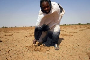 Sécheresse au Sahel: les Etats-Unis verseront 120 millions d’aides supplémentaires © AFP