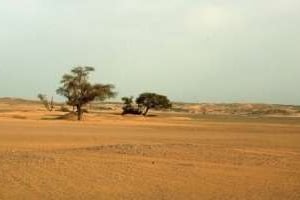 Le désert au sud de l’Algérie, dans la région de Djanet. © Hocine Zaourar/AFP