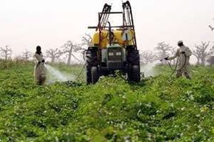 La BAD veut contribuer à la canalisation des fonds du secteur privé vers l’agrobusiness africain. © AFP