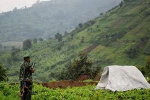 Un soldat congolais le 24 mai 2012 dans le nord-Kivu. © AFP