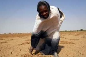 18 millions de personnes sont menacées par la faim au Sahel, dont plus de 3 millions au Mali. © AFP
