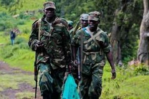 Des soldats du M23 en juin 2012 en RDC. © AFP