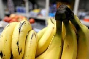 Le secret génétique de la banane a été découvert. © AFP