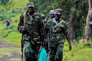 Des rebelles du M23 en juin 2012 au Nord Kivu. © AFP