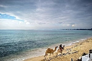 La plage de Hammamet, en Tunisie. Le pays cherche à diversifier ses revenus du tourisme, traditionnellement issus des activités balnéaires. © AFP