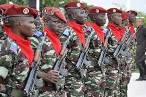 Des militaires de la Cedeao. © AFP