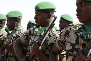 Une partie de l’armée malienne a besoin de formation pour intervenir dans le Nord désertique. © DR