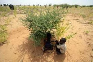La dernière épidémie de fièvre jaune au Soudan remonte à 2005. © AFP