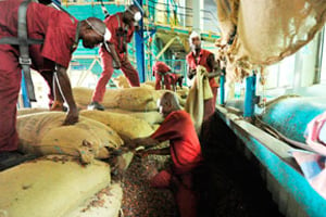 Les institutions de Bretton Woods ont fait du retour des pouvoirs publics dans la gestion du cacao une condition à l’annulation de la dette ivoirienne. © SIA KAMBOU AFP