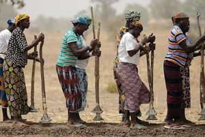 Des femmes au travail dans un champ au Burkina Faso. © AFP