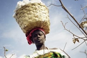 À Kédougou (sud-est du Sénégal), un village de la filière coton équitable. © Caroline Pottier/Le bar floréal