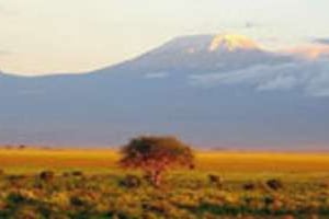 Les touristes négligent Dar es-Salaam et lui préfèrent le Kilimandjaro. © AFP