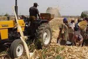 Près de 70 % des petits agriculteurs nigérians n’ont accès à aucun financement. DR
