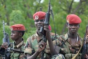 Les Tchadiens et Nigériens totalisent plus de 2 500 hommes.. © Issouf Sanogo/AFP