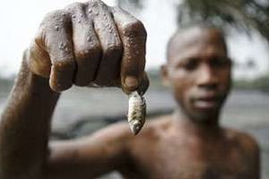 Un pêcheur nigérian montre les effets de la pollution dans le delta du Niger. © Marten van Dijl/Milieudefensie