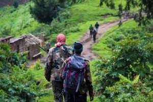 Des rebelles du M23, le 3 juin 2012 dans le Nord-Kivu, en RDC. © Melanie Gouby/AFP