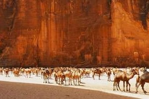 Au printemps 2012, 400 touristes ont tenté l’aventure dans le massif de l?Ennedi. © AFP