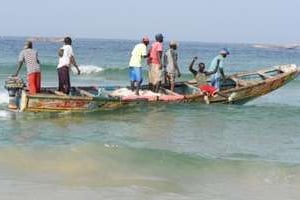 Des pêcheurs sénégalais. © AFP