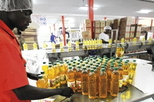 Producteur et distributeur d’huile alimentaire en Afrique de l’Ouest, Sifca s’intéresse aussi à des oléagineux comme l’arachide. © Sia Kambou