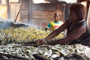Pour pallier la pénurie de sardines fumées sur le marché local, leur exportation est interdite pour six mois depuis le 30 mars. DR