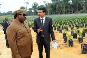 Le président Ali Bongo visite les installations d’Olam. DR