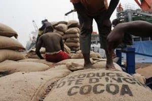 Des ouvriers vident des sacs de cacao ivoirien le 18 janvier 2011 dans le Port d’Abidjan. © AFP