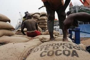 Pour la saison 2011-12, la contrebande de cacao a représenté 153 000 tonnes. © AFP