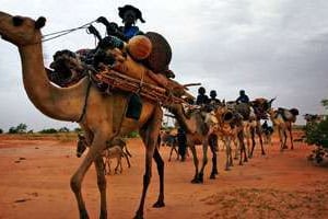 Les quelques rebelles touaregs du Niger ne bénéficient pas du soutien de la population. © DR