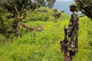 Un soldat mutin appartenat au M23 (Mouvement du 23 mars), le 3 juin 2012 au Nord Kivu en RDC. © Melanie Gouby/AFP