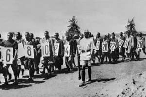 Des combattants Mau Mau conduits au tribunal de Githunguri, au Kenya, en avril 1953. © AFP