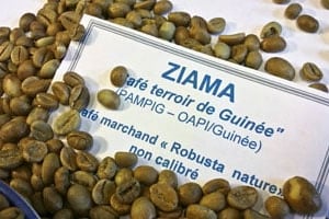 Le miel d’oku, le café Ziama-Macenta et le poivre de Penja sont les tout premiers aliments africains officiellement reconnus. DR