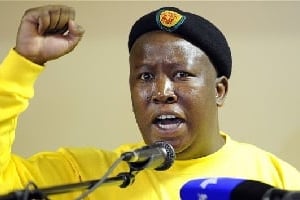 Julius Malema, l’ancien leader de la ligue jeunesse de l’ANC. © AFP
