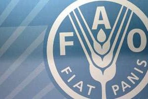 Le logo de la FAO. © AFP