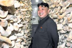 Kim Jong-un en visite dans une champignonnière. © AFP
