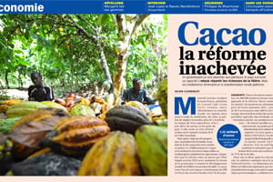 La côte d’Ivoire fournit 36% du cacao mondial. © Kambou Sia / AFP