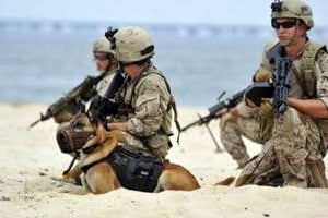 Des membres des Navy Seals à l’entraînement, en Virginie. © AFP