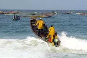 Certaines espèces ne sont dorénavant accessibles qu’à la seule flotte artisanale mauritanienne. © Sipauto/Sipa