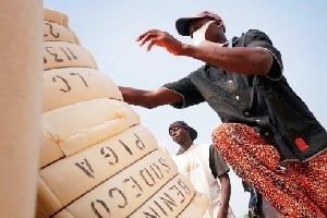 Le coton assure 40% des entrées de devises du Bénin, et 90% de ses exportations agricoles. © Yannick Tylle/Corbis