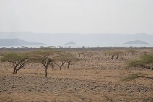 Le site du projet est situé sur la berge sud-est du lac Turkana, entre deux montagnes élevées du corridor de Turkana. © LTWP