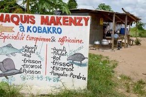 En Côte d’Ivoire, l’agouti, interdit aux gourmets pour cause d’Ebola © AFP