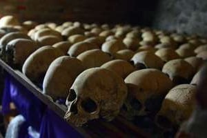 Des crânes humains exposés le 4 avril 2014 au Mémorial du génocide à Nyamata. © AFP